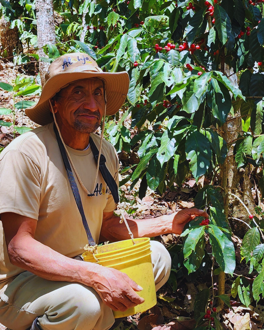Elauterio Fajardo