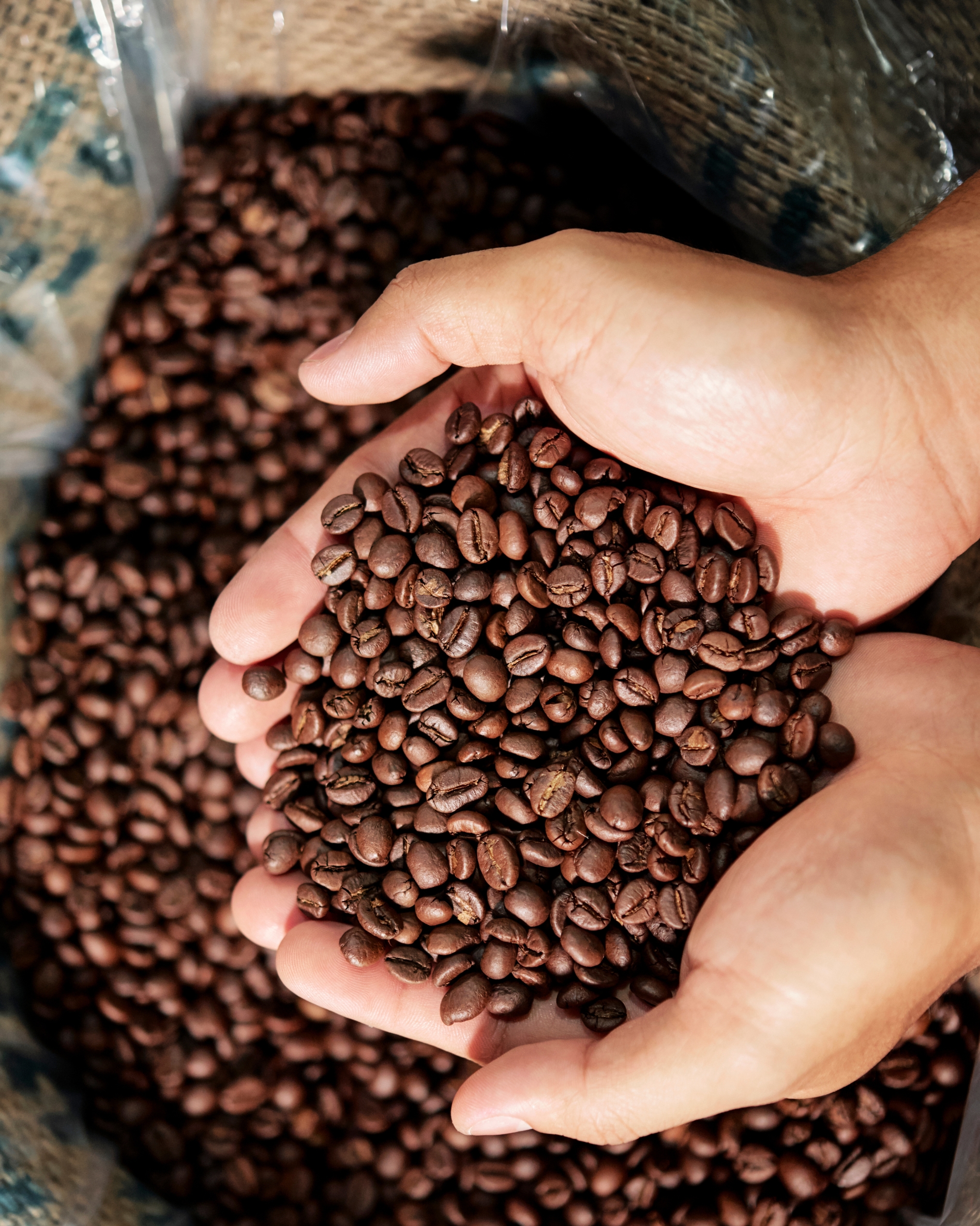 Contacto Alohja Coffee